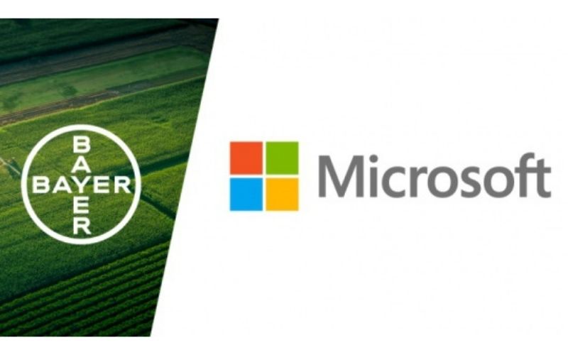 Bayer i Microsoft zawiązują partnerstwo strategiczne