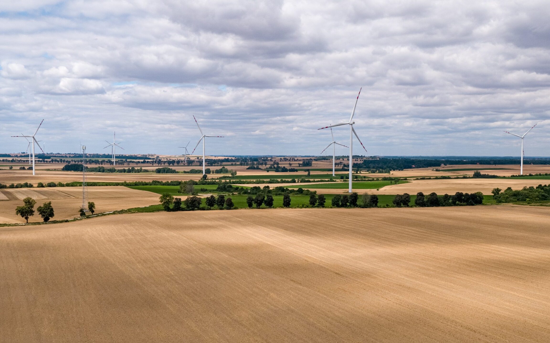 Polski sektor OZE w dobie rozwoju „zielonej energetyki” stoi przed licznymi wyzwaniami – dowodzi Przegląd Wynagrodzeń i Trendów na rynku pracy przygotowany przez ekspertów Michael Page